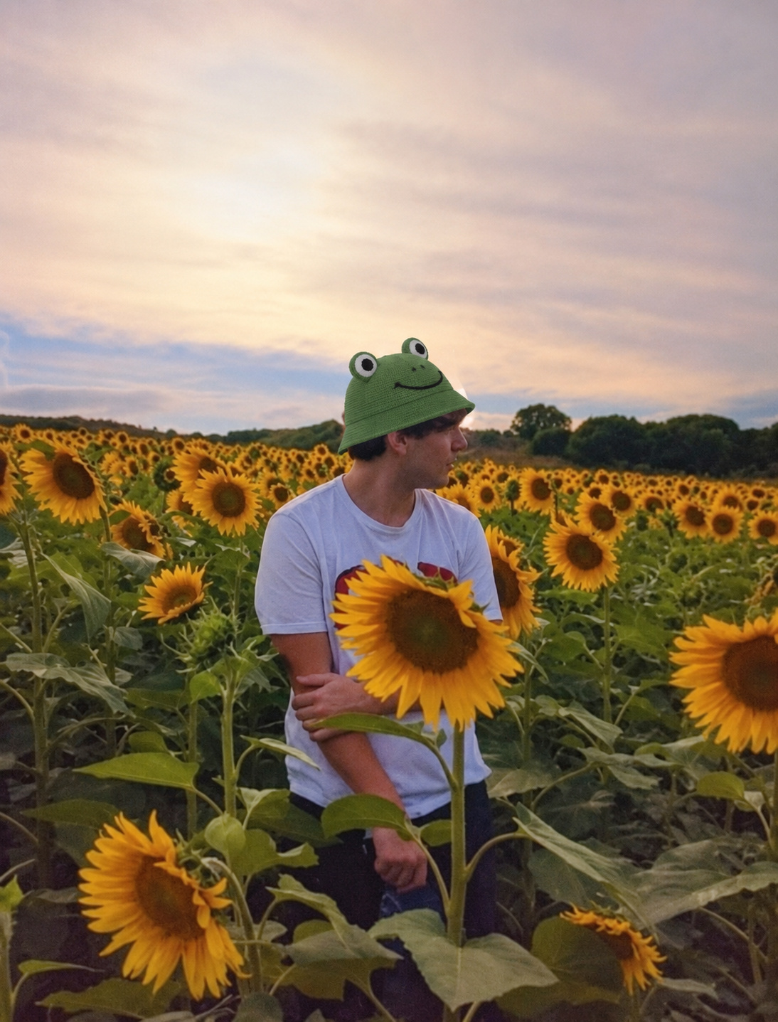 Sombrero verde de rana en un campo de girasoles